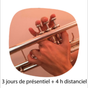 Stage : Modes opératoires des musiciens instrumentistes, éducation préventive du musicien